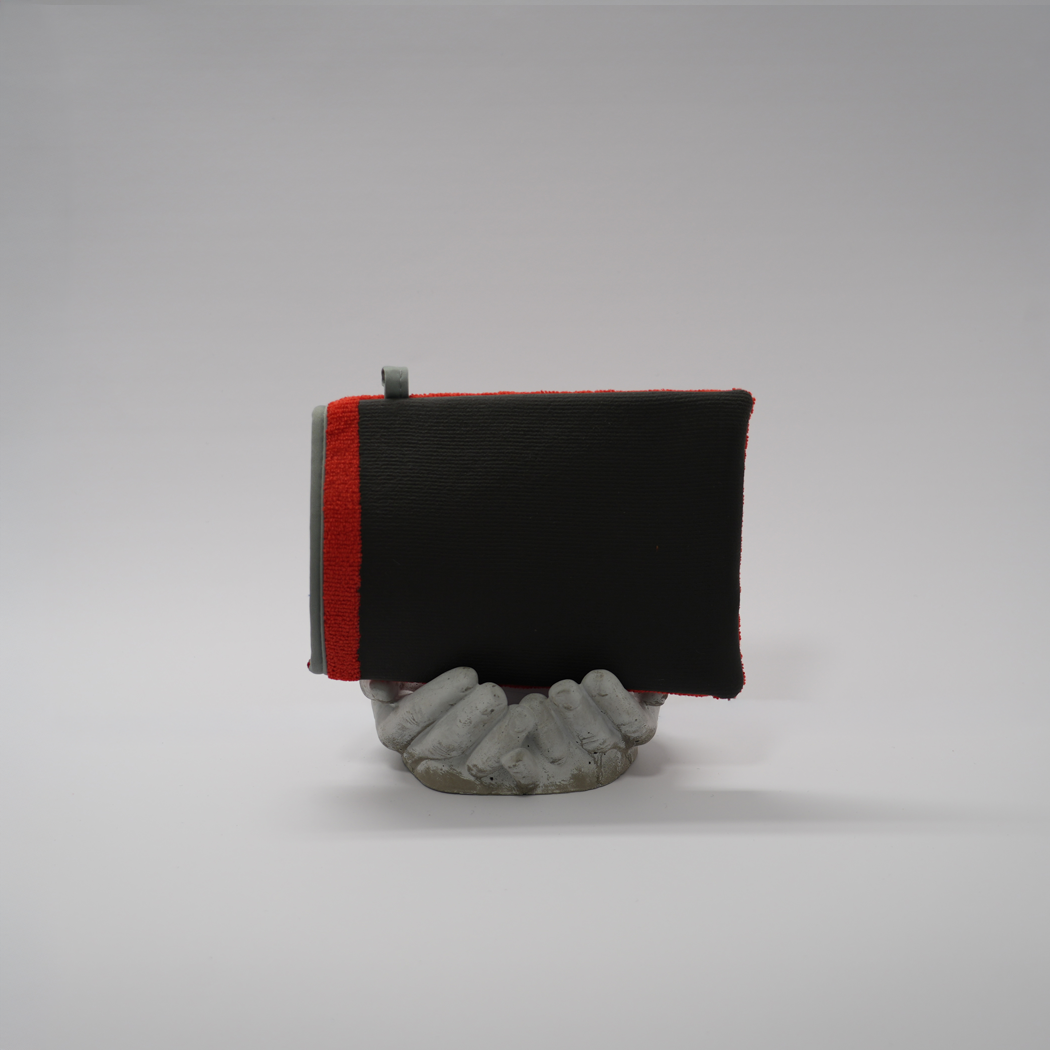 Clay Decontamination Mitt
